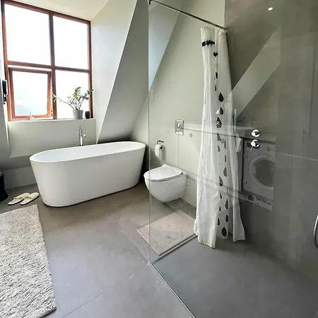 Bright Townhouse On Amager With A Cozy Courtyard Vakantiehuis *