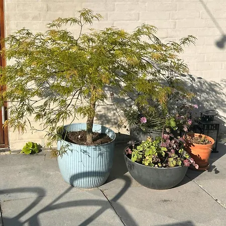 Bright Townhouse On Amager With A Cozy Courtyard Vakantiehuis