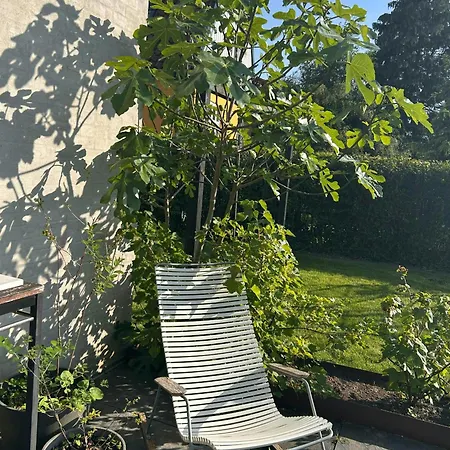 Vakantiehuis Bright Townhouse On Amager With A Cozy Courtyard Kopenhagen
